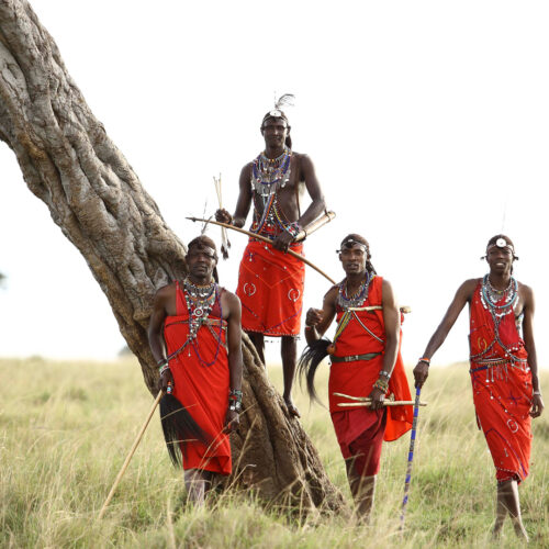 5 Days Masai Mara, Lake Nakuru & Lake Naivasha Safari