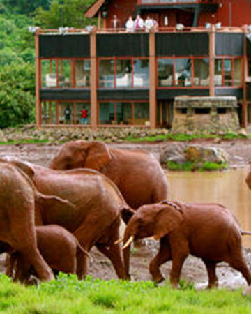Aberdare National Park