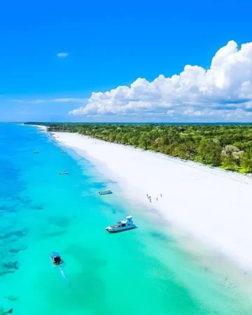 Diani beach