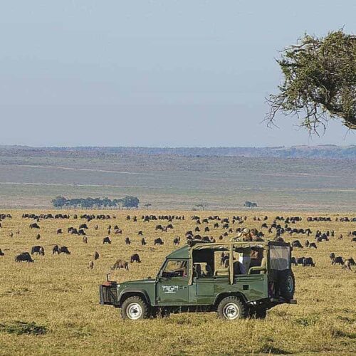 4 Days Masai Mara Safari